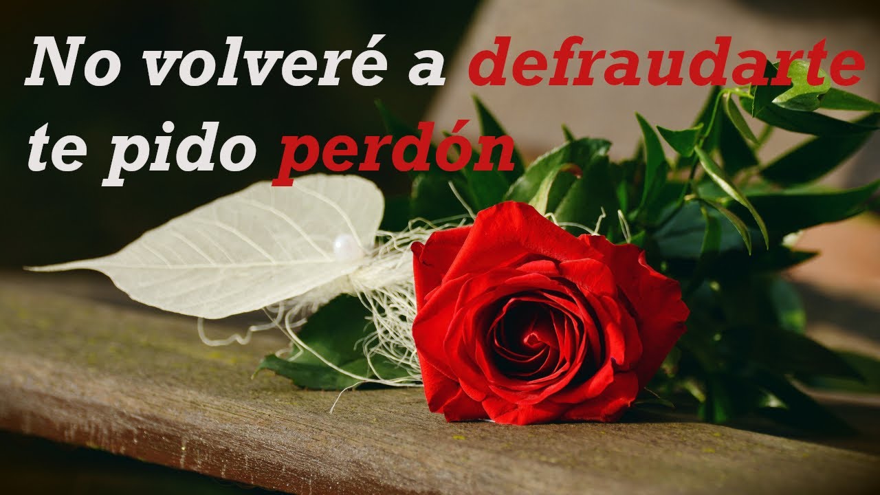 carta para pedir perdon por mi actitud