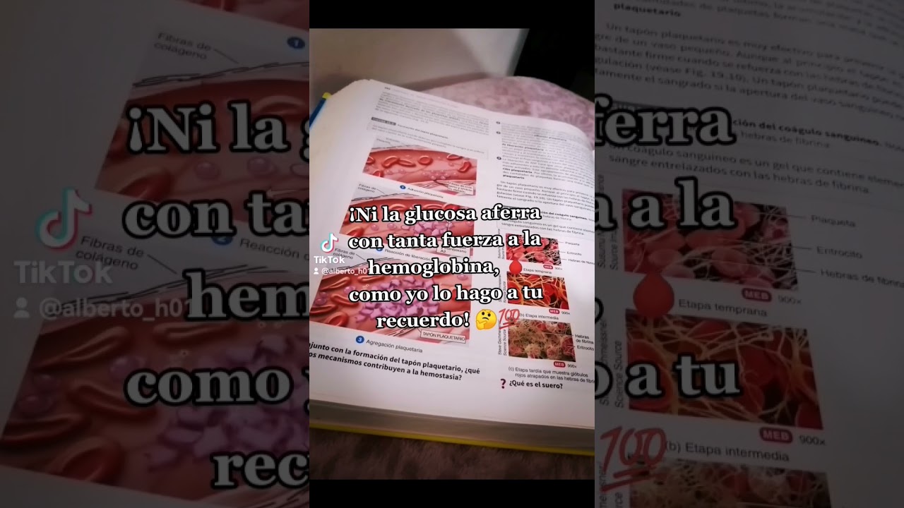 frases de amor a la medicina