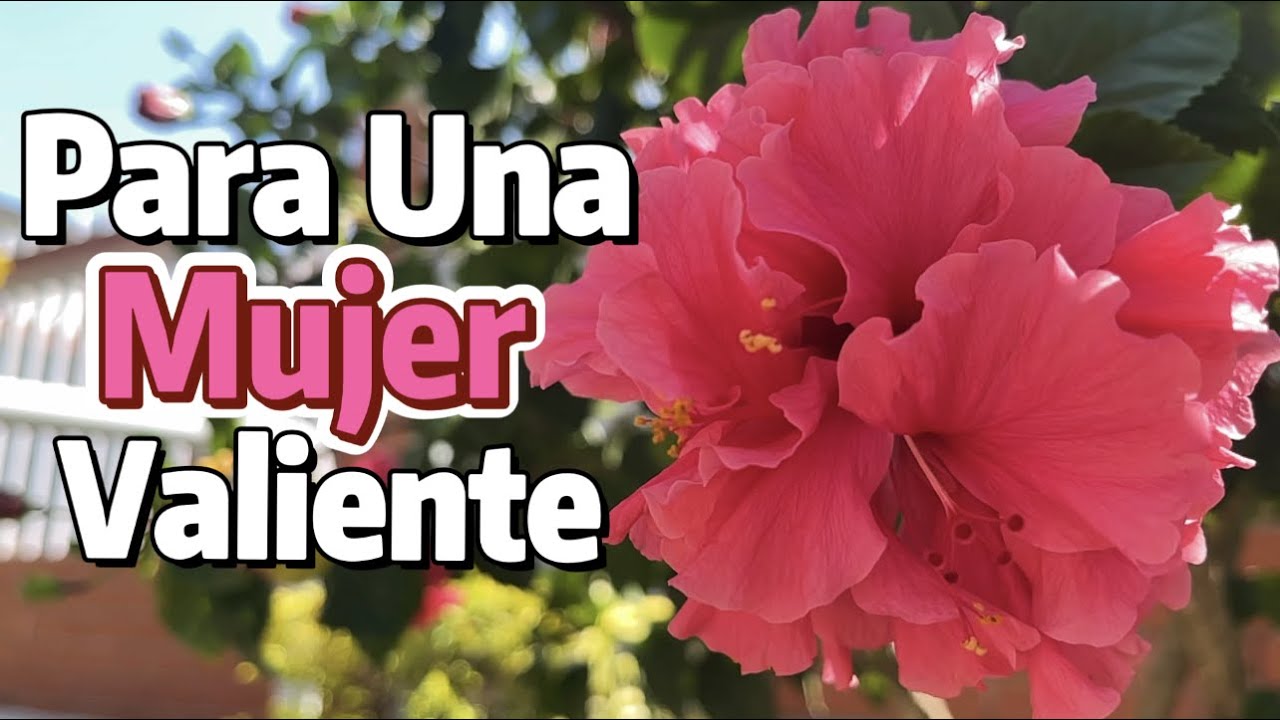 carta para una mujer fuerte y valiente