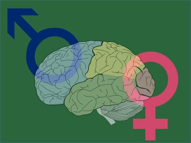 diferencias entre hombre y mujer psicologicas