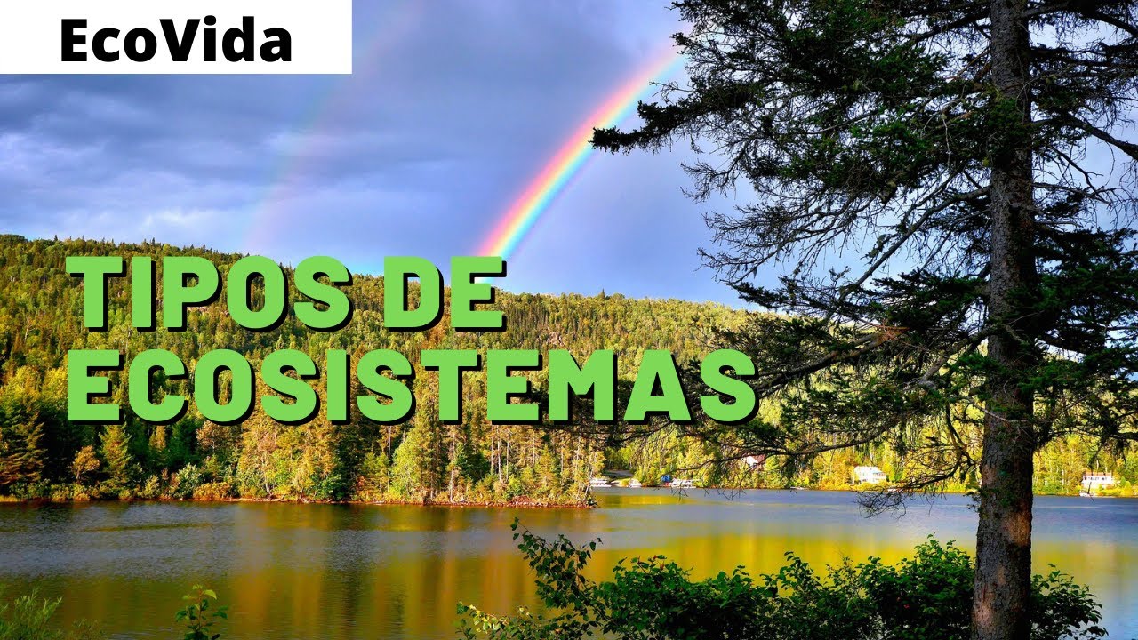 en tu entidad qué tipo de ecosistema predomina