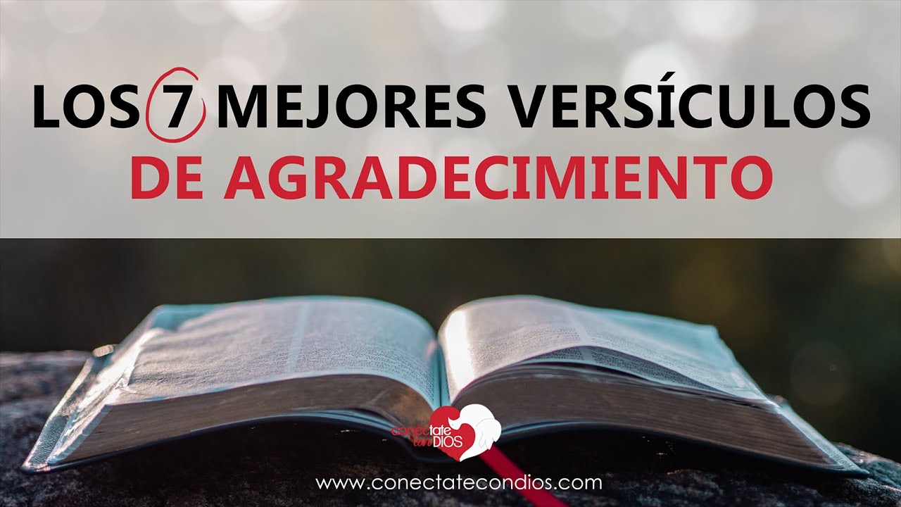 frases biblicas de accion de gracias