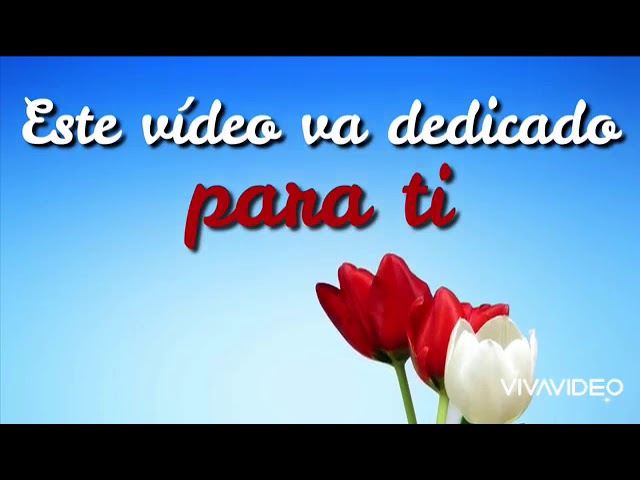 frases de feliz dia de la enfermera