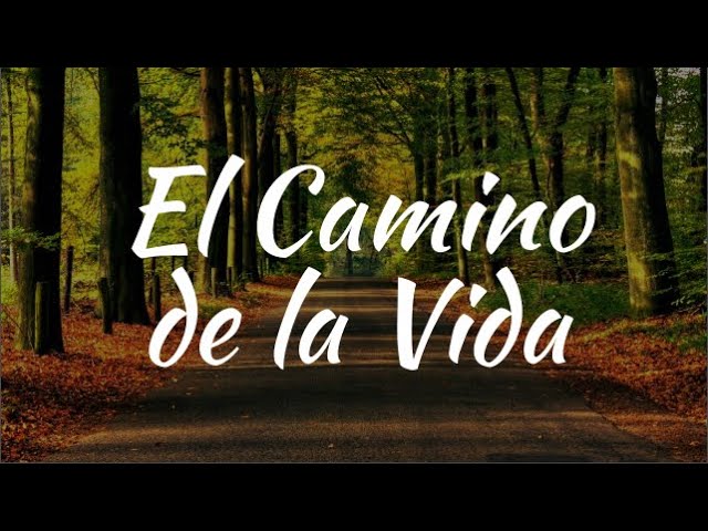 frases de los caminos de la vida