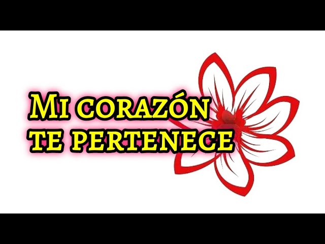 nunca olvides que te amo poema