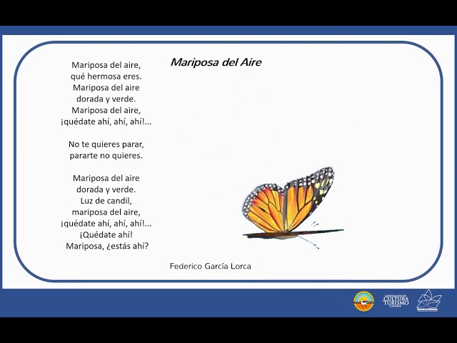 que quiere decir el poema mariposa del aire