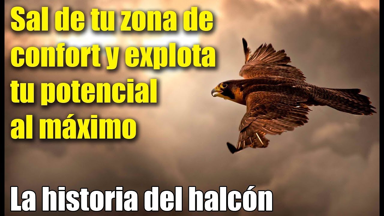 sal de tu zona de confort