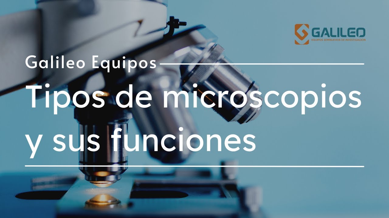 tipos de microscopios y sus funciones