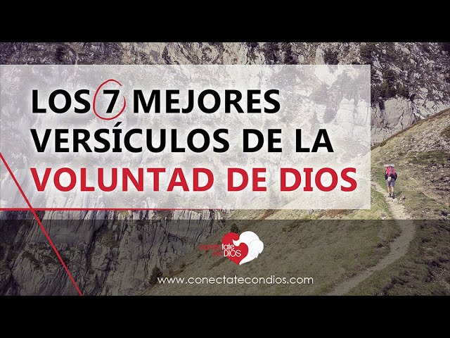 versiculos de que dios es nuestro padre