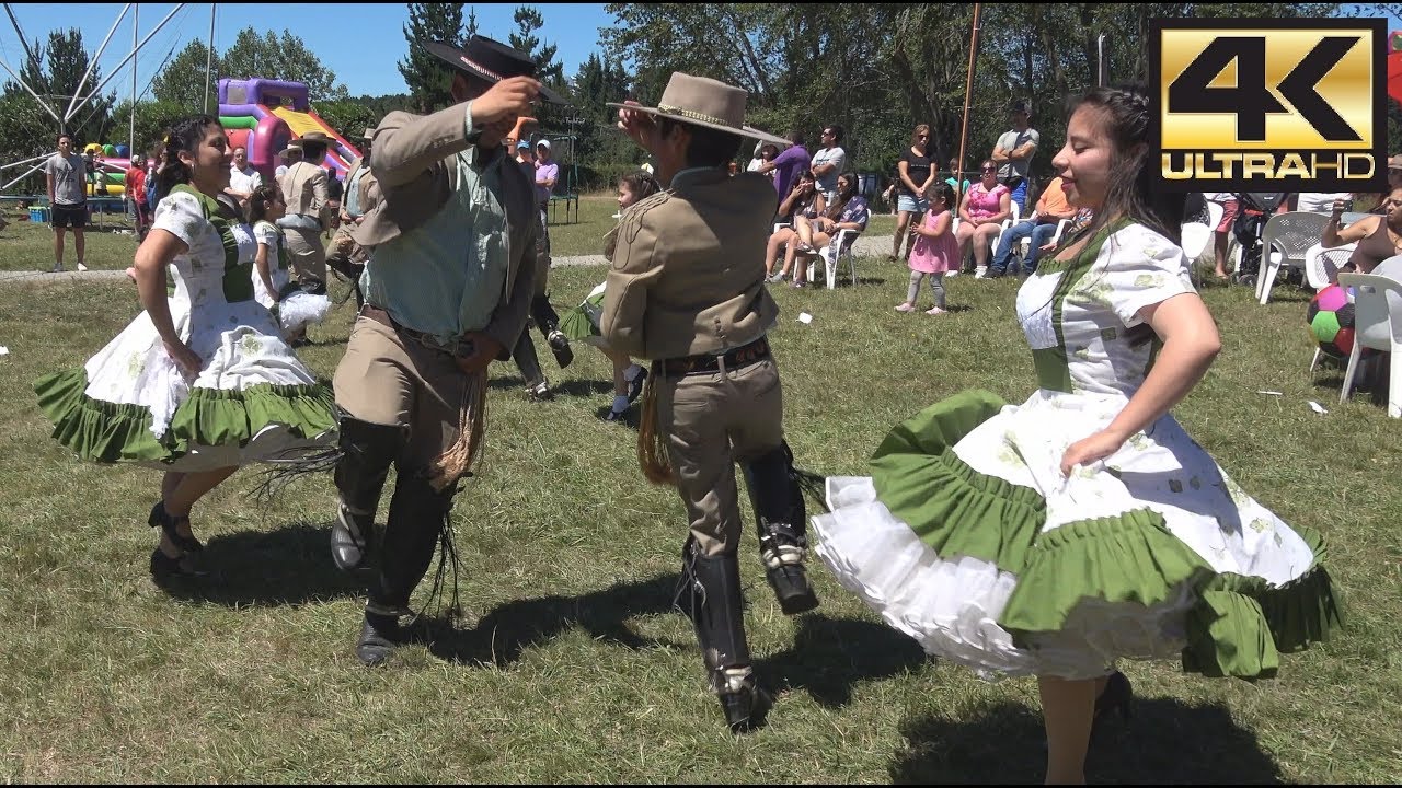 bailes tipicos de la zona centro