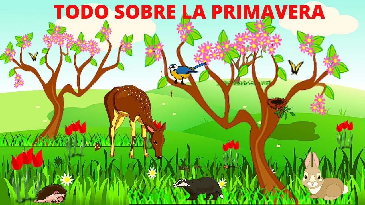 cambios en la primavera para niños