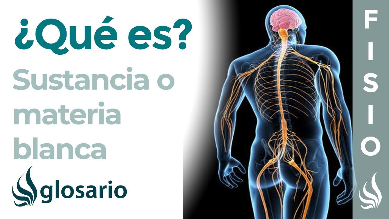 cambios microangiopaticos de la sustancia blanca