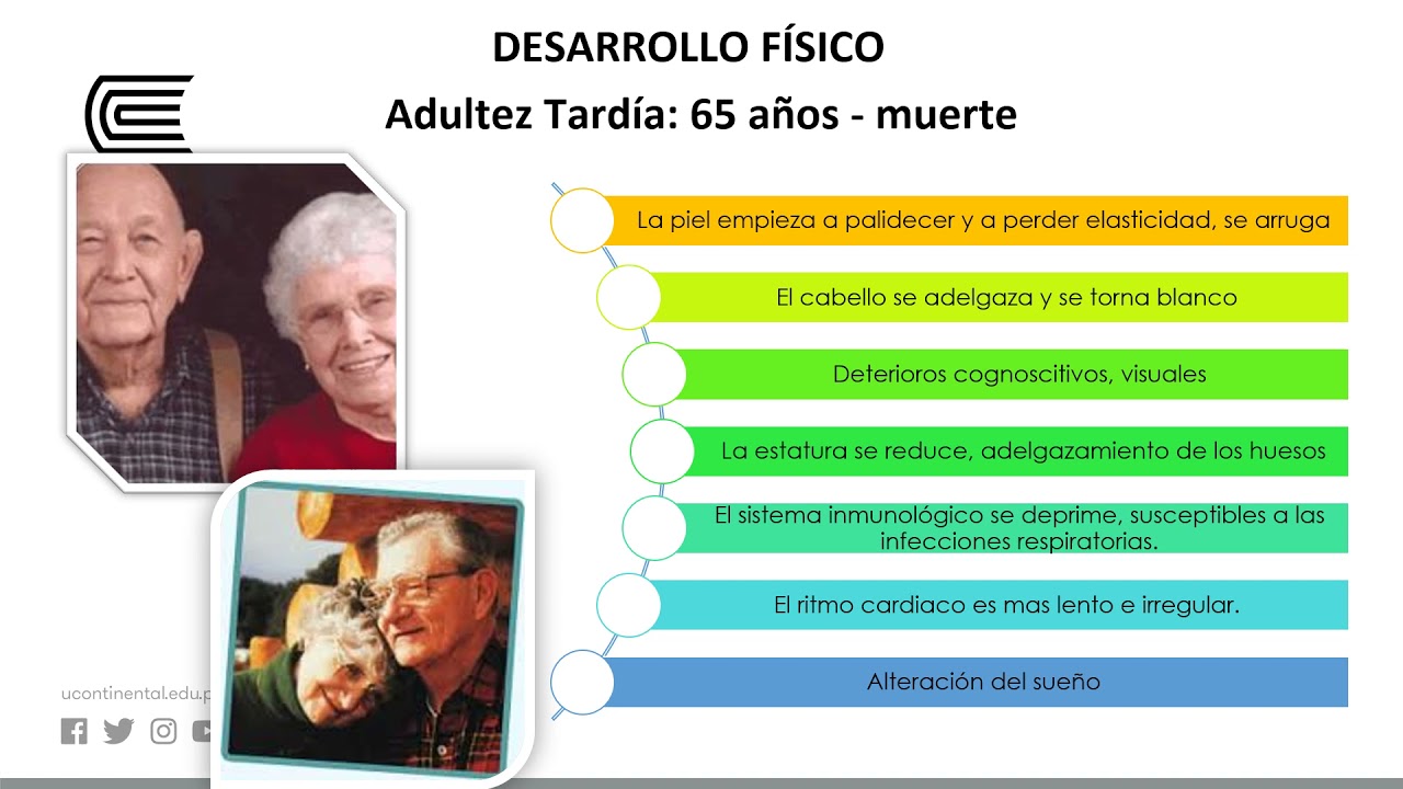 caracteristicas fisicas de la adultez tardia