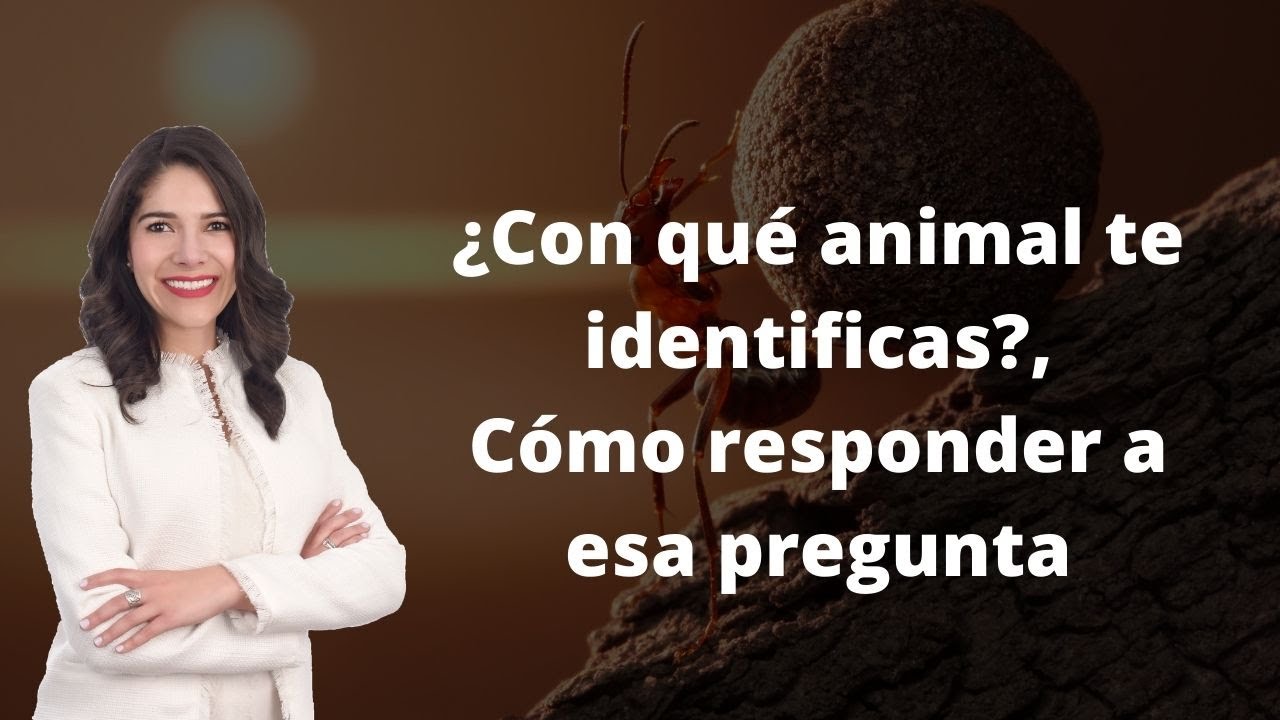 con que animal me identifico entrevista
