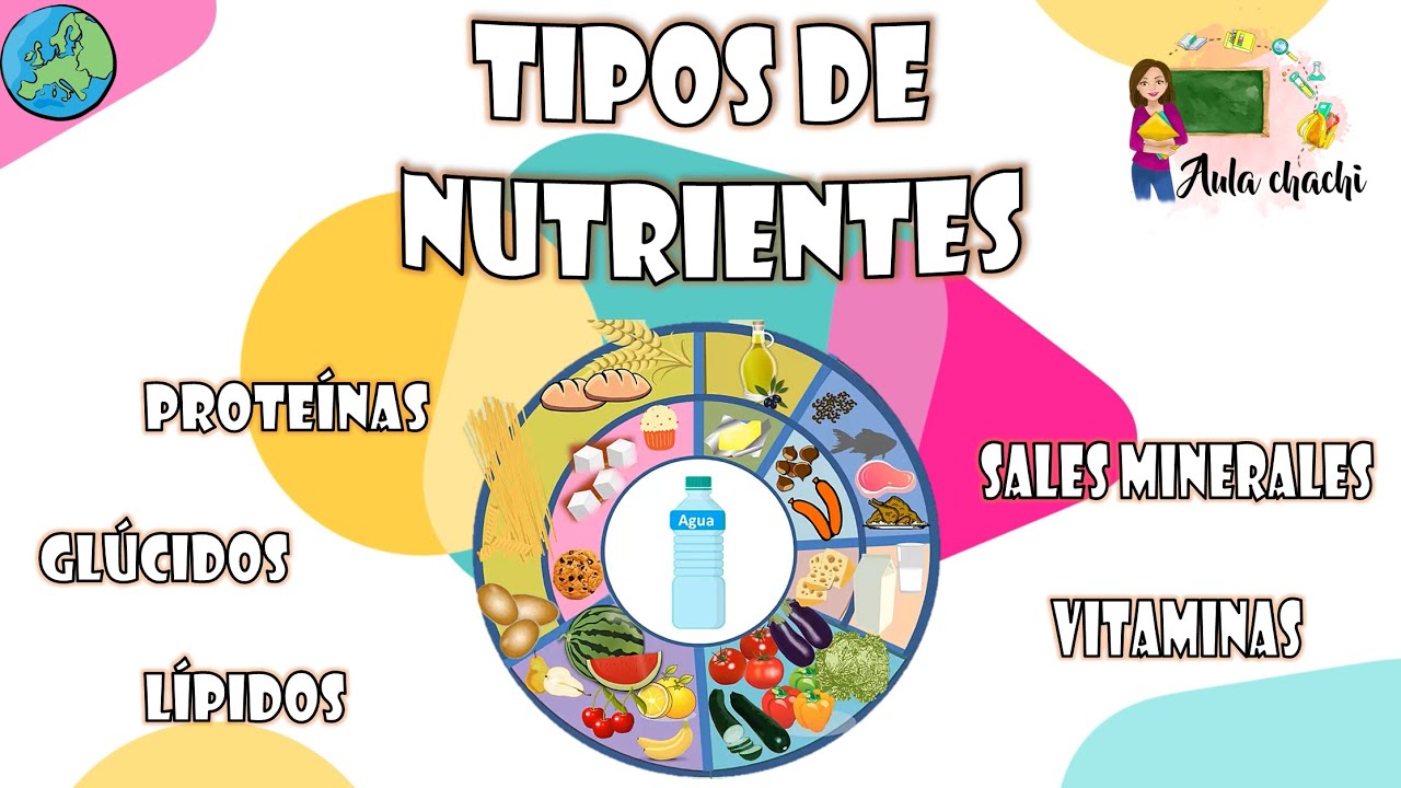 cual es el tipo de alimentacion de cada uno