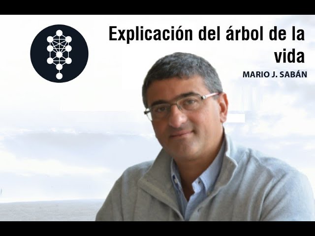 el arbol de la vida dinamica