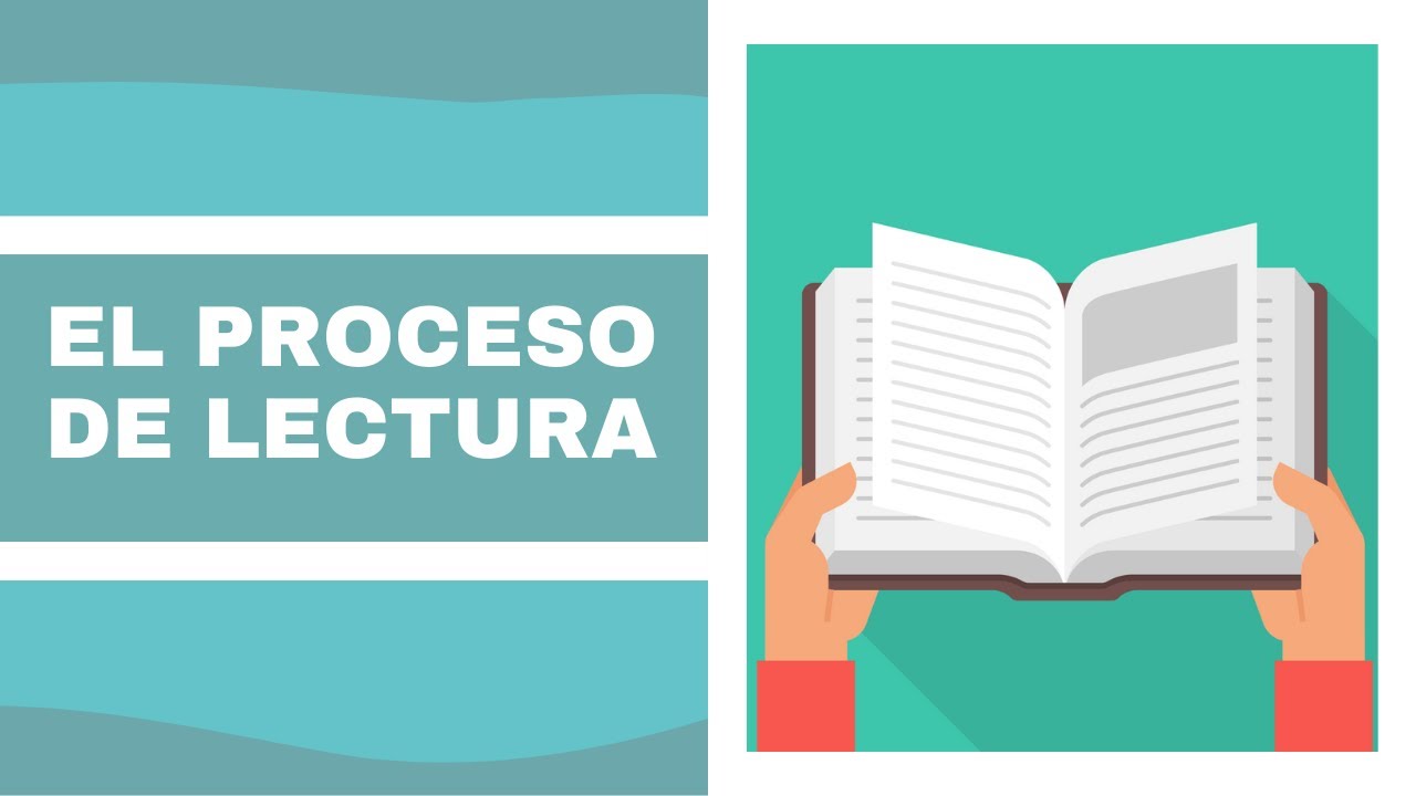 el proceso de la lectura y sus etapas