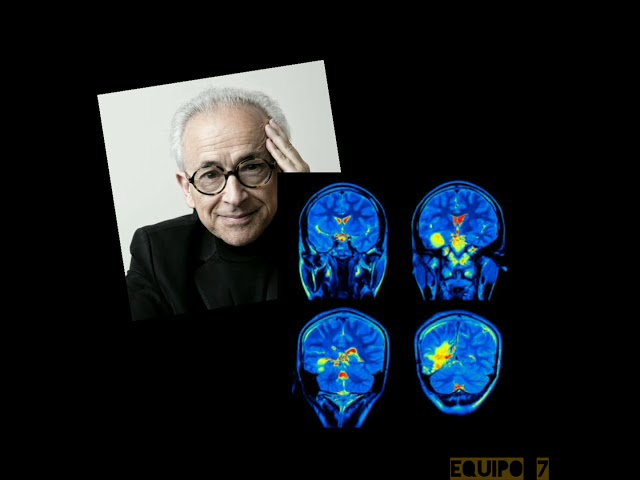 emociones esteticas en las artes visuales