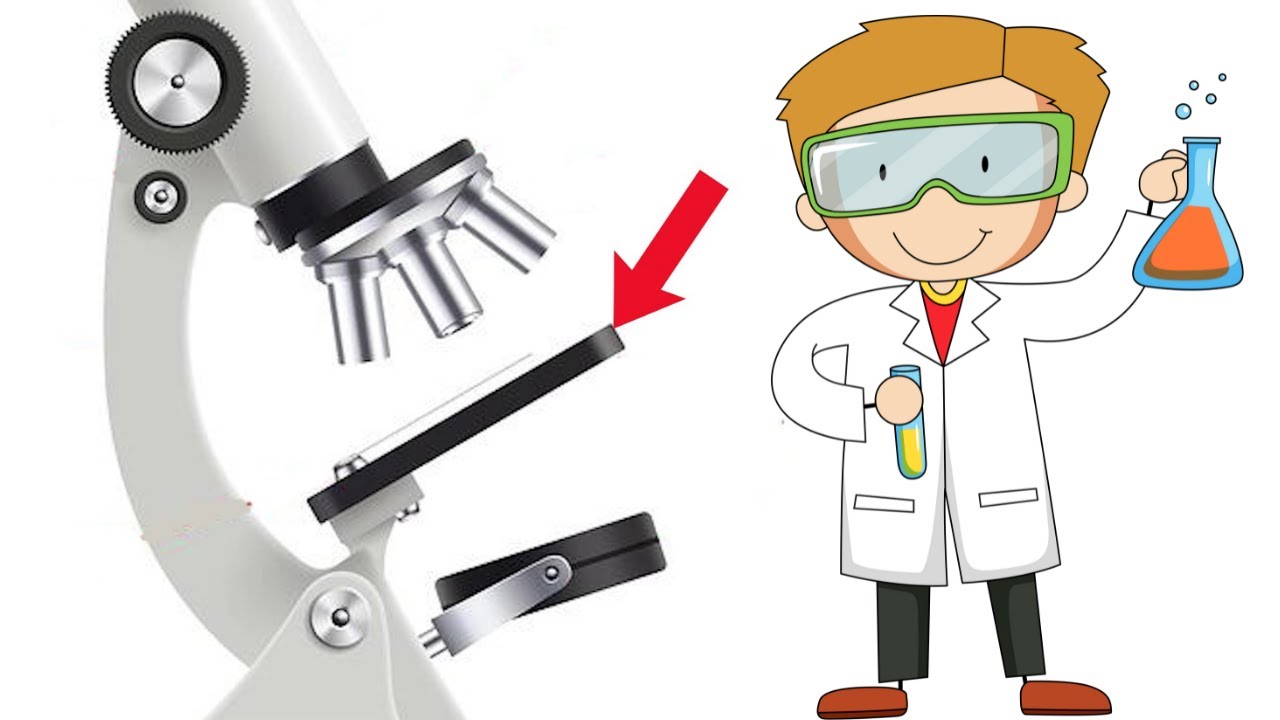 funciones de las partes del microscopio electronico