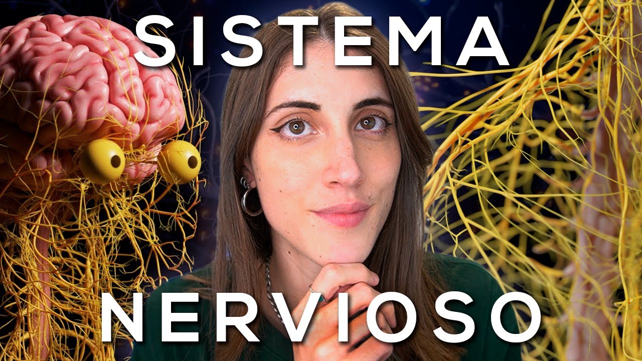 importancia del sistema nervioso para la psicologia