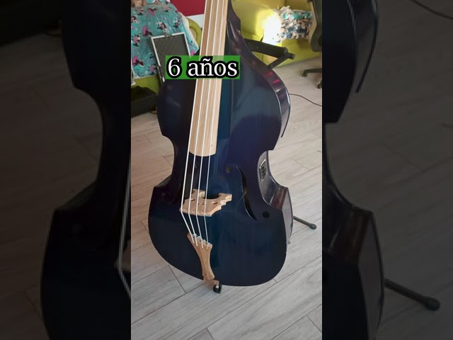 instrumentos musicales que empiecen con e
