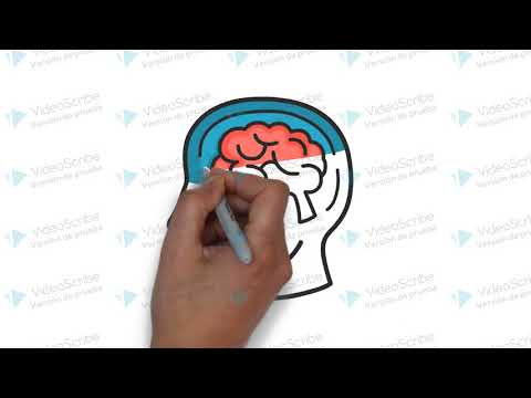 leyes de la asociacion de ideas