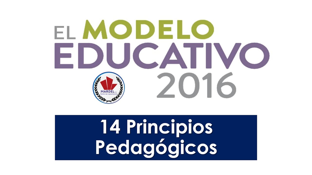 los 14 principios pedagógicos del nuevo planteamiento curricular
