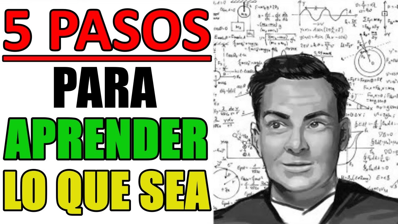manual de didáctica aprender a enseñar