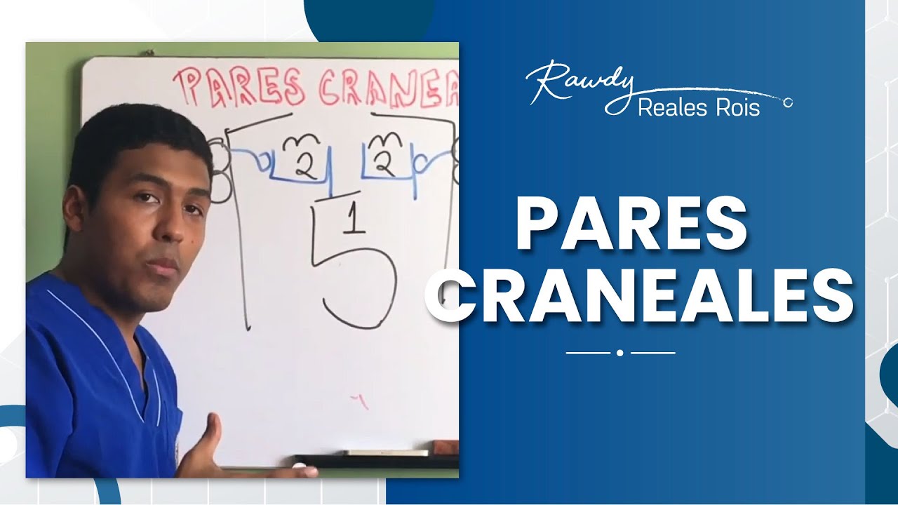 nombre de los 12 pares craneales
