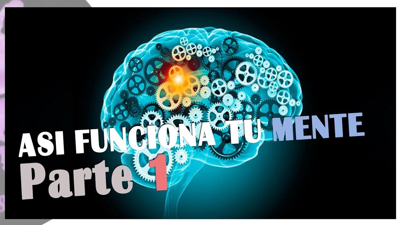 para que sirven los procesos psicologicos basicos