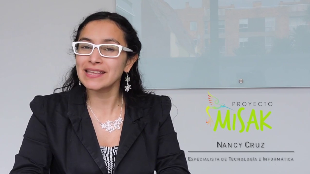 plan de área de informática para preescolar