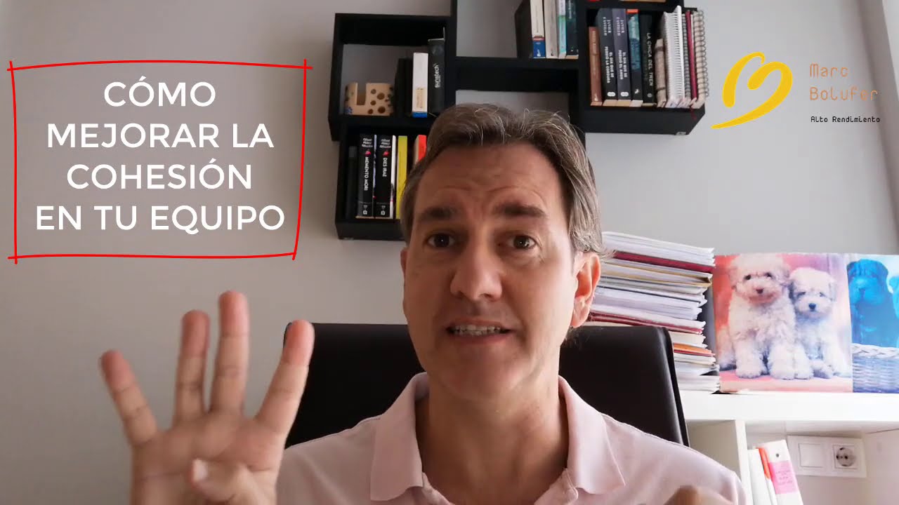 que es la cohesion de equipo