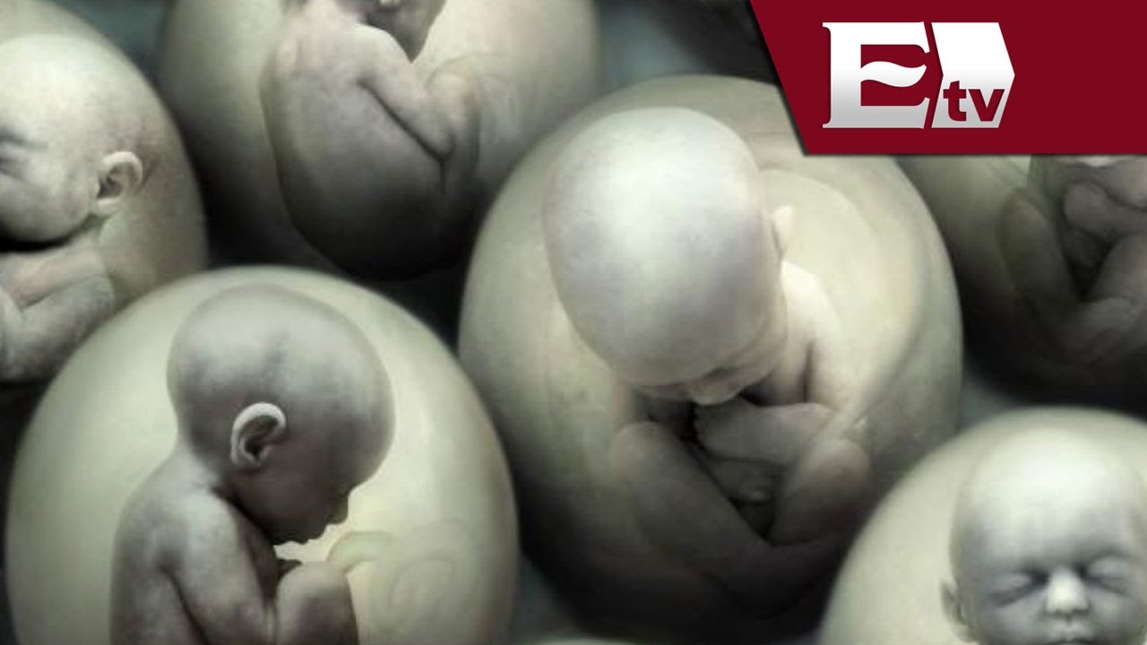 el aborto desde la perspectiva psicologica