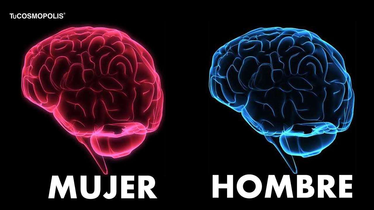 en que son mejores los hombres que las mujeres