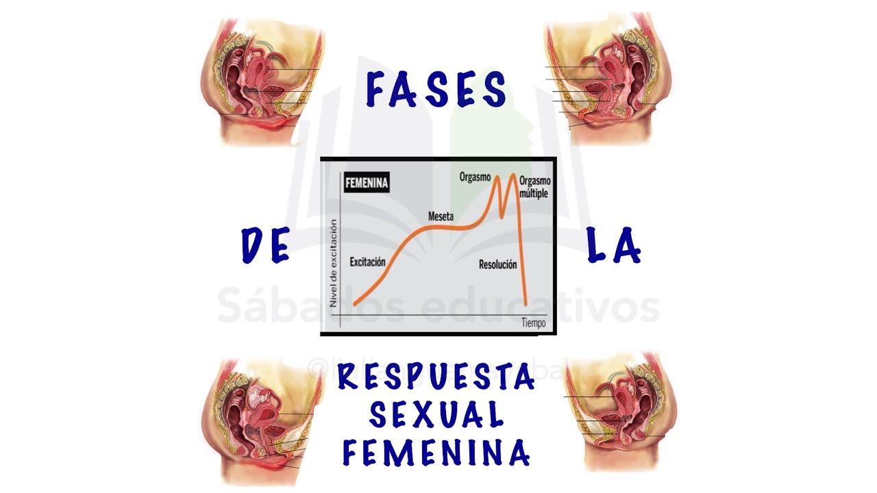 fase de resolucion en la mujer