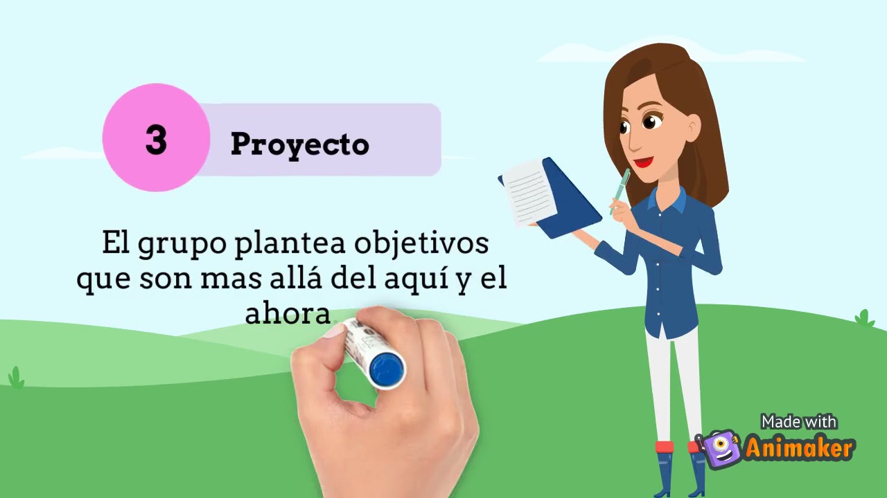 fases del grupo operativo pichon riviere