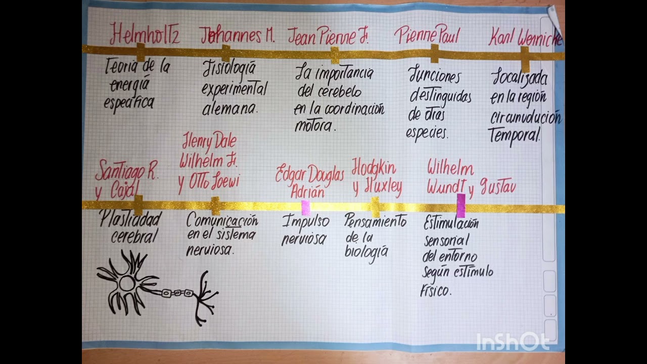 linea del tiempo de la psicobiologia