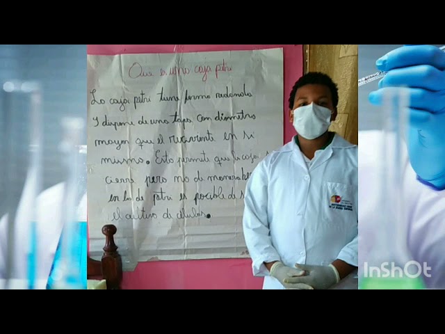 para que sirve la caja petri