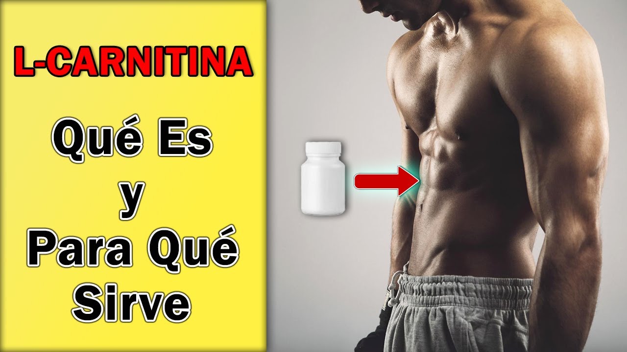 que hace la carnitina en el cuerpo