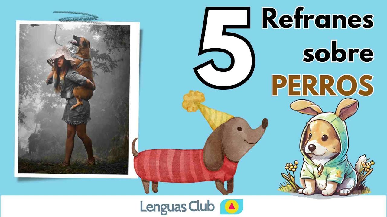 refranes de perros y su significado
