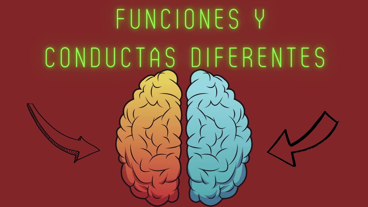 relatos desde los dos lados del cerebro